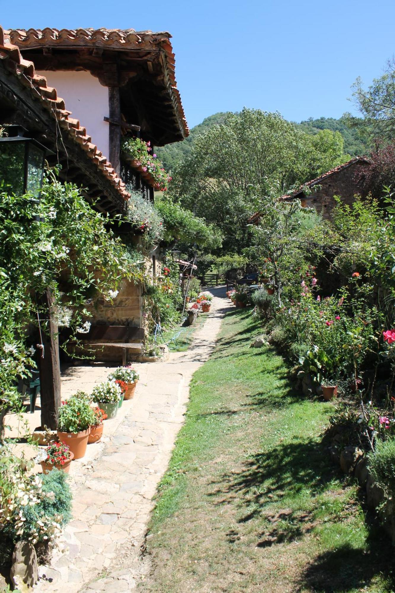 Gasthaus Casona De Trevino Cosgaya Exterior foto
